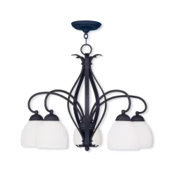 Coupon 🌟 Livex Brookside 5-Light 20 Chandelier Black 🔔