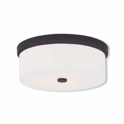 Best reviews of โ๏ธ Livex Meridian 3-Light Ceiling Mount Brushed Nickel ๐